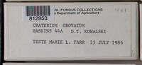 Image Associated With the Occurence
